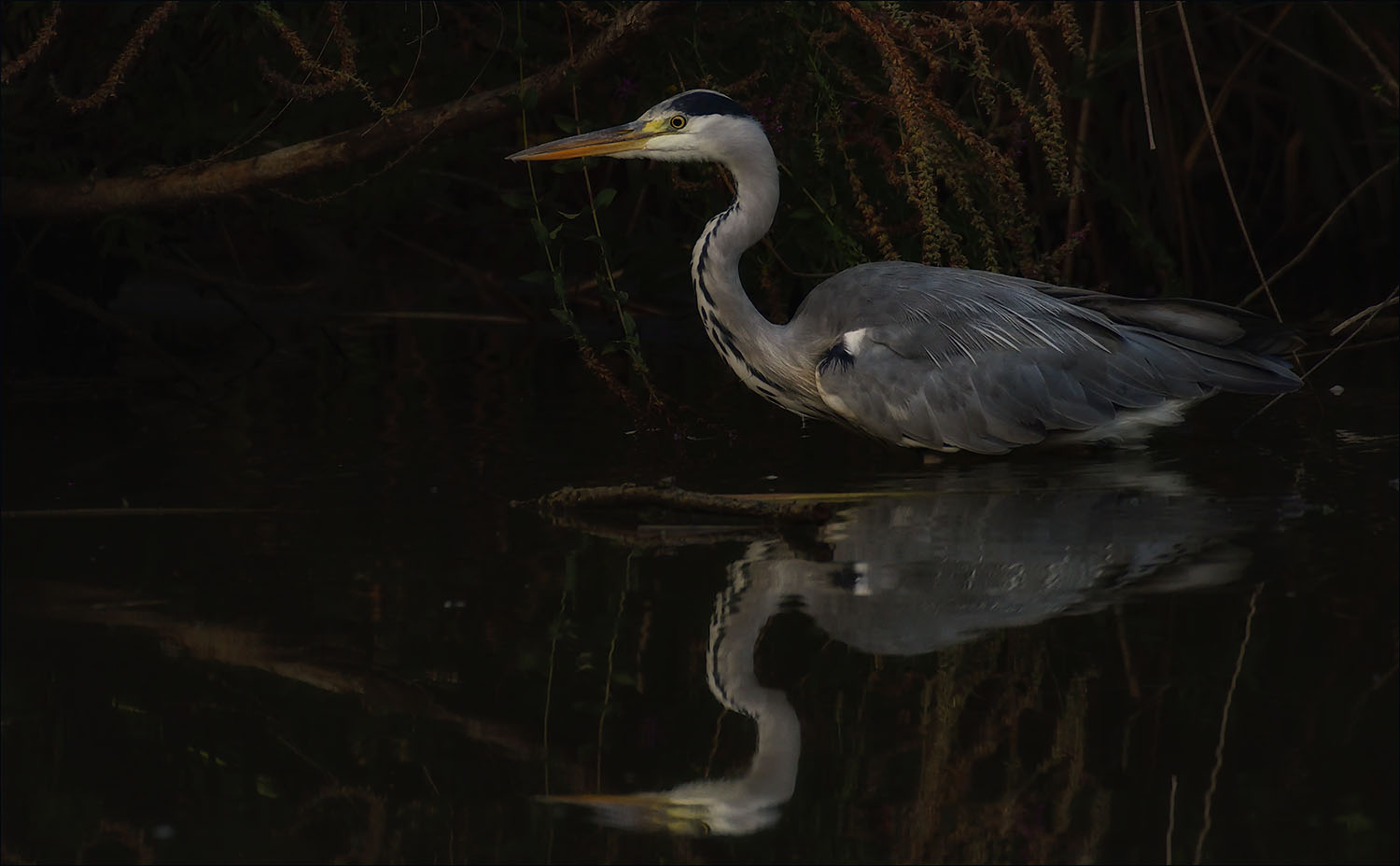 Beau reflet