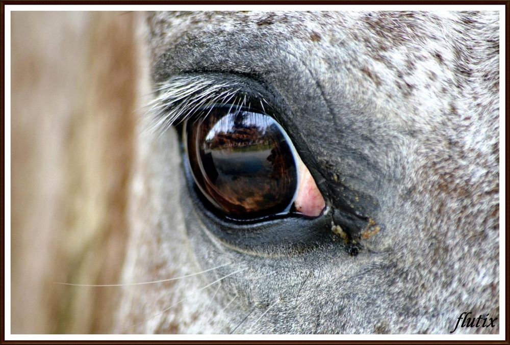 beau regard!!!!!!!!!!!!