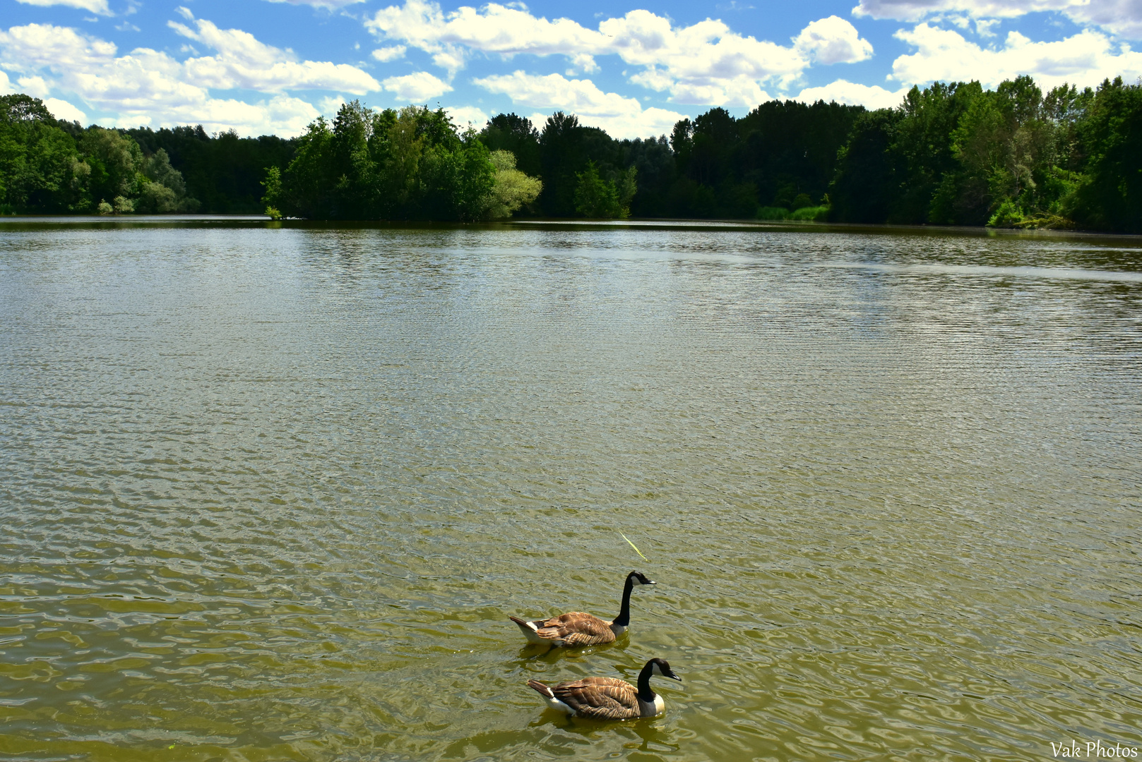 Beau Temps