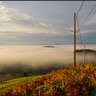 Beaujolais | early morning light |