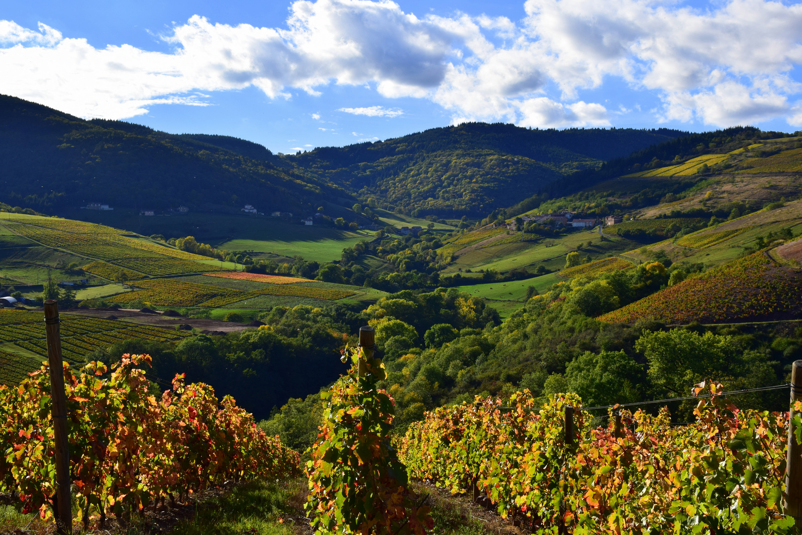 Beaujolais en automne