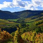 Beaujolais en automne