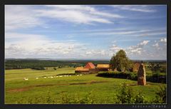 Beaujolais Gebiet
