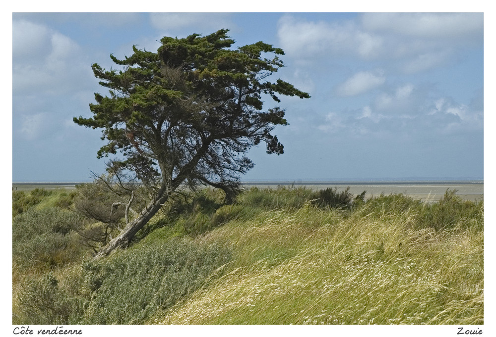 beauté de la côte vendéenne