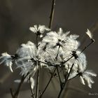 Beauté de la nature