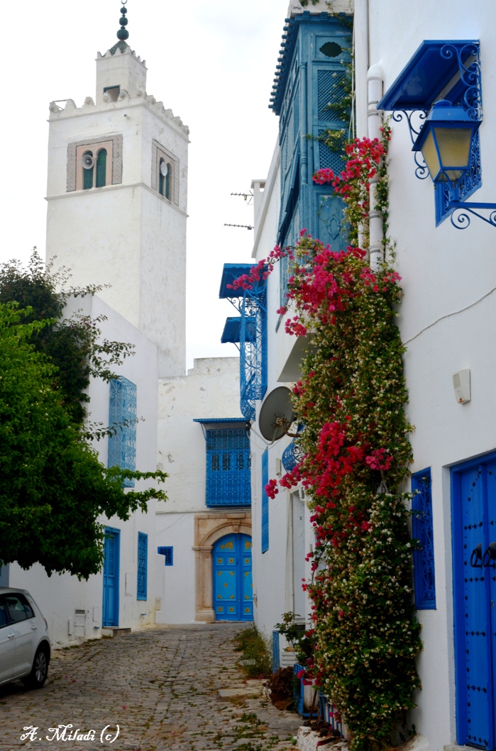 Beauté de Sidi Bou Said (1)