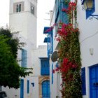 Beauté de Sidi Bou Said (1)