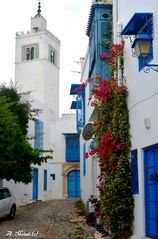 Beauté de Sidi Bou Said (1)