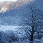 Beauté hivernale