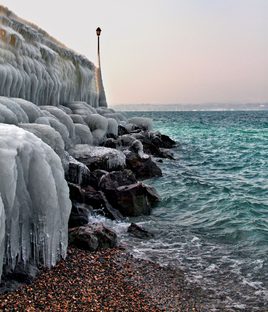 Beauté hivernale