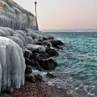 Beauté hivernale