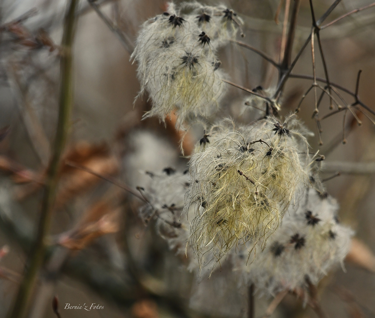 Beautés de la nature