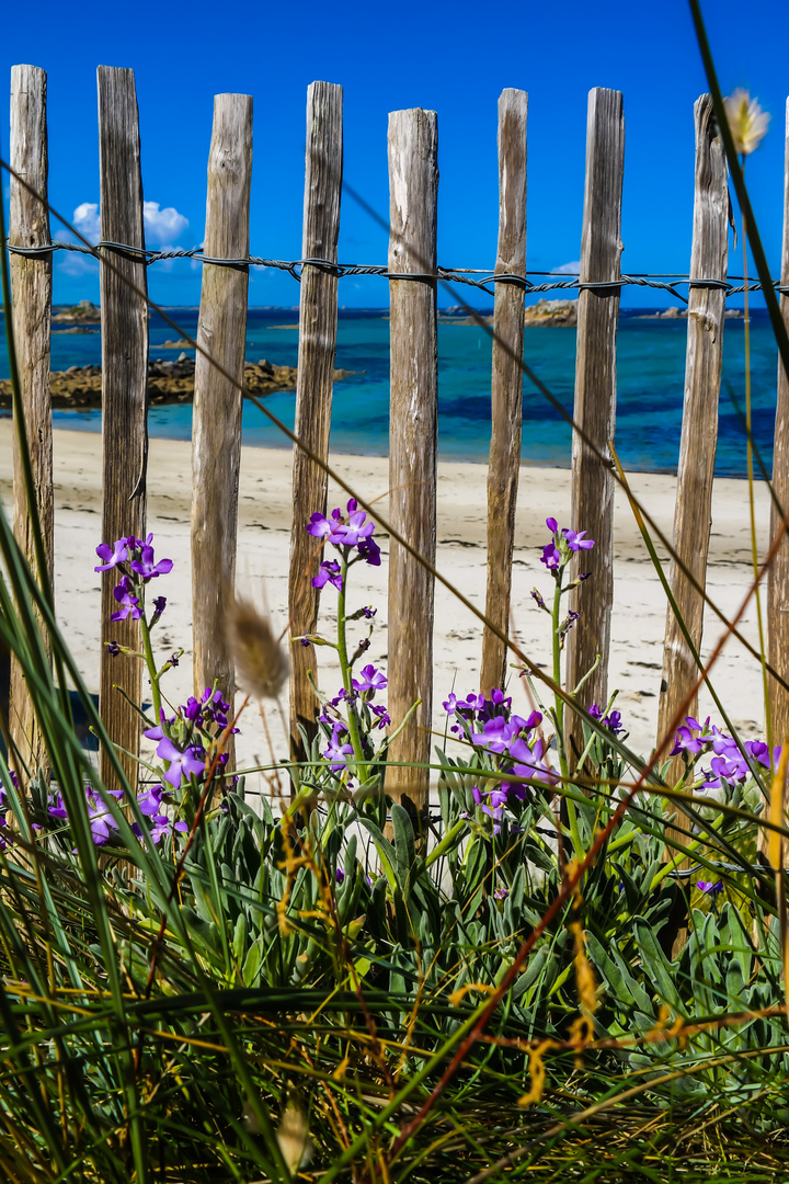 Beautés de la plage bretonne 