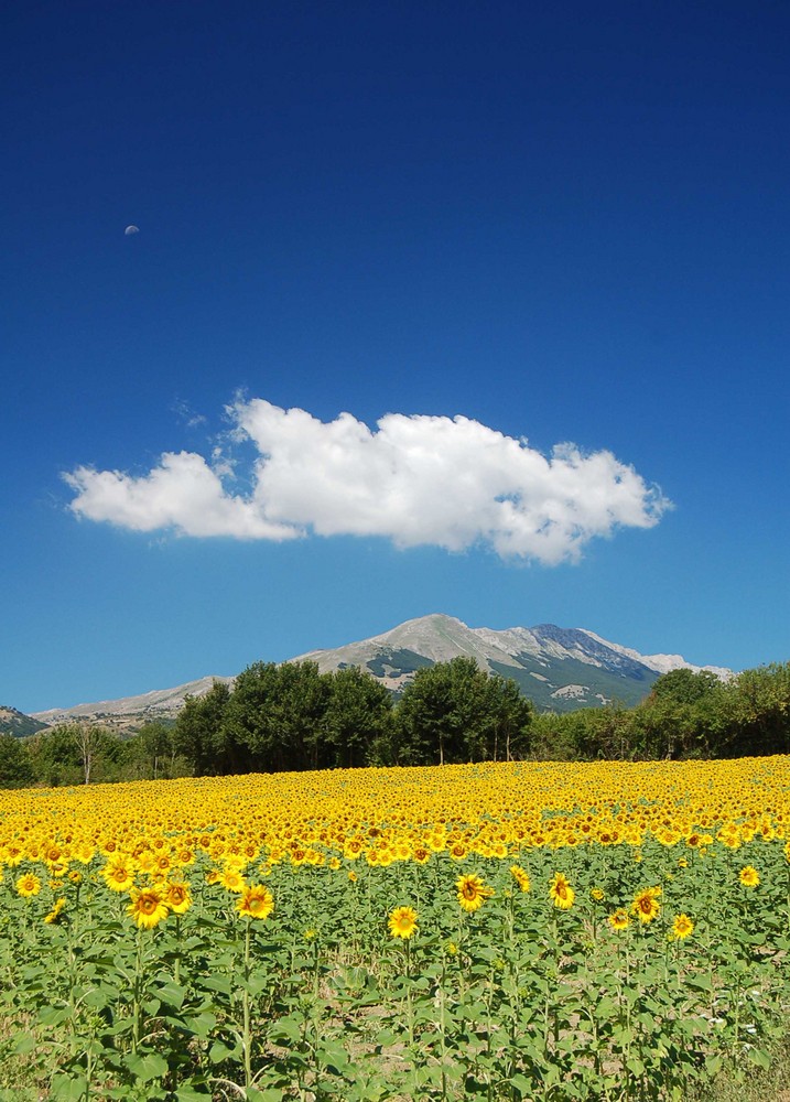 Beautiful Abruzzo