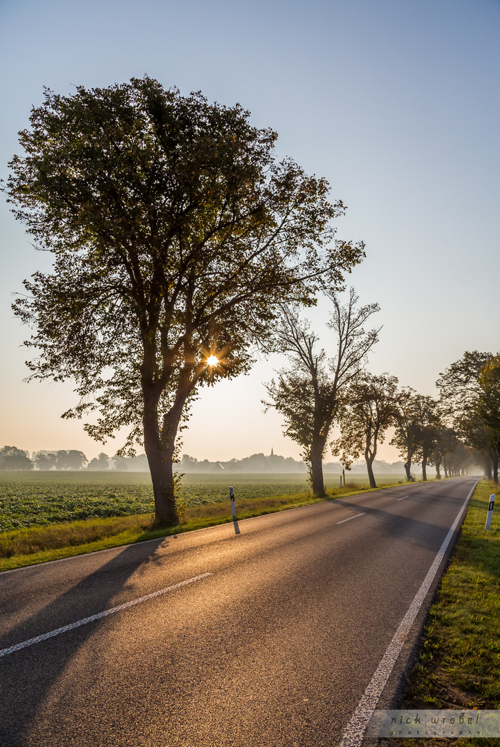 Beautiful Brandenburg