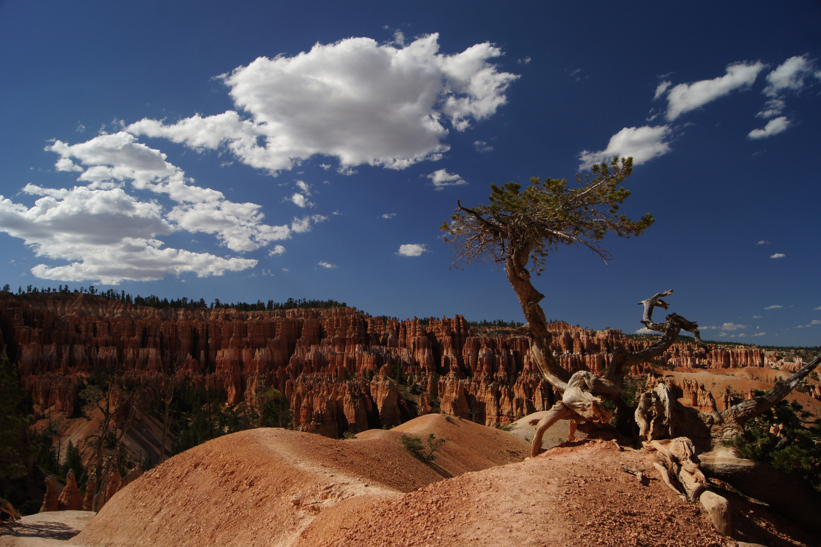 Beautiful Bryce Canyon