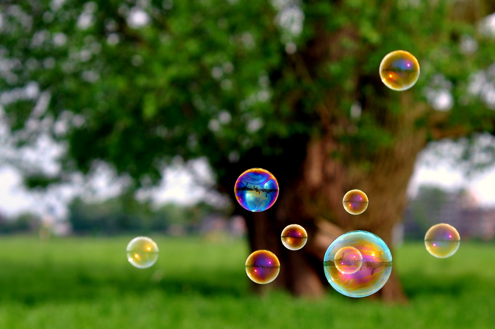 Beautiful bubbles