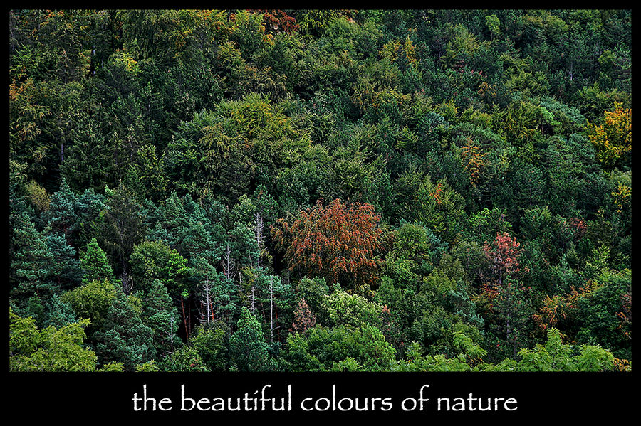 - beautiful colours of nature -