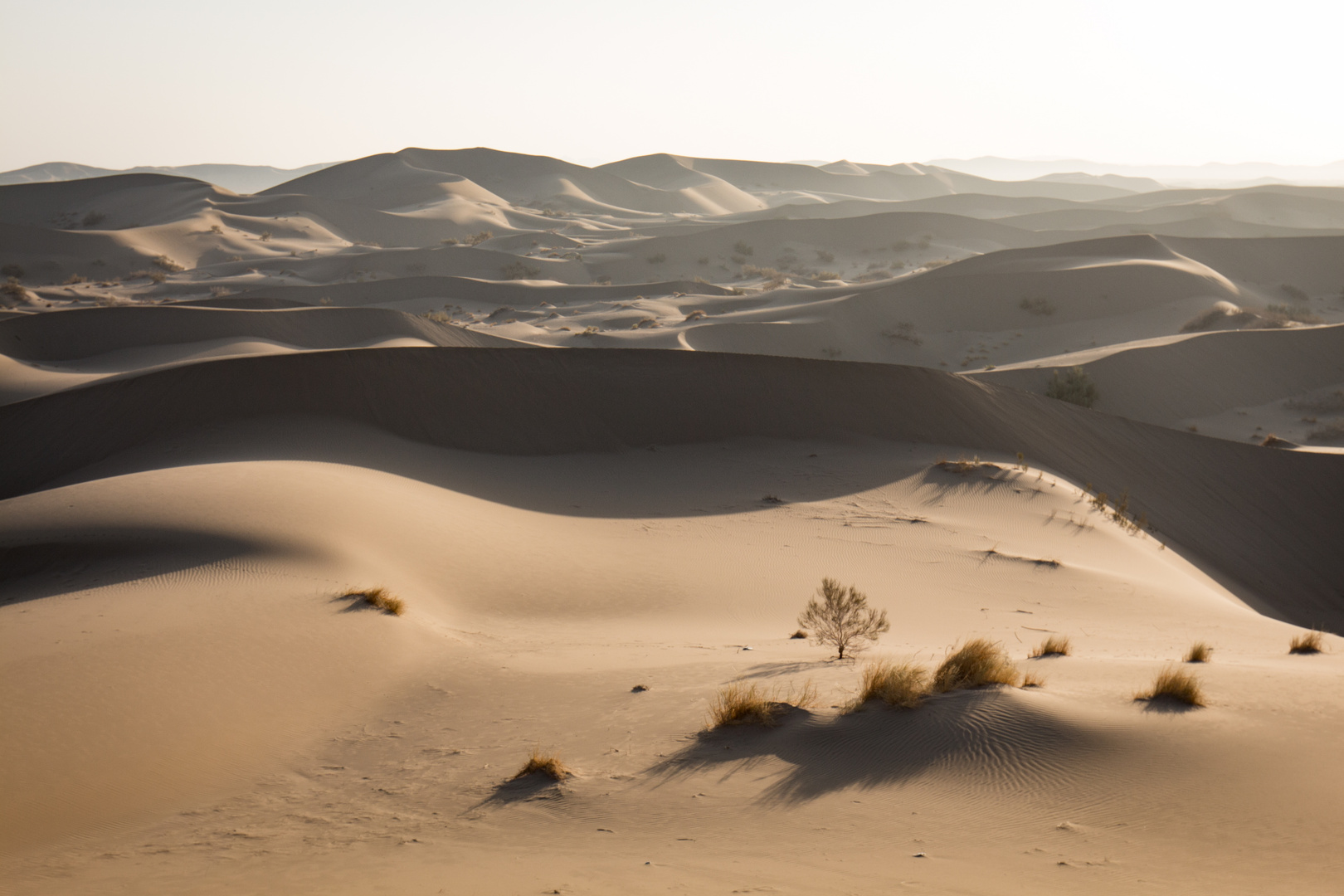 Beautiful desert of Iran