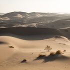 Beautiful desert of Iran