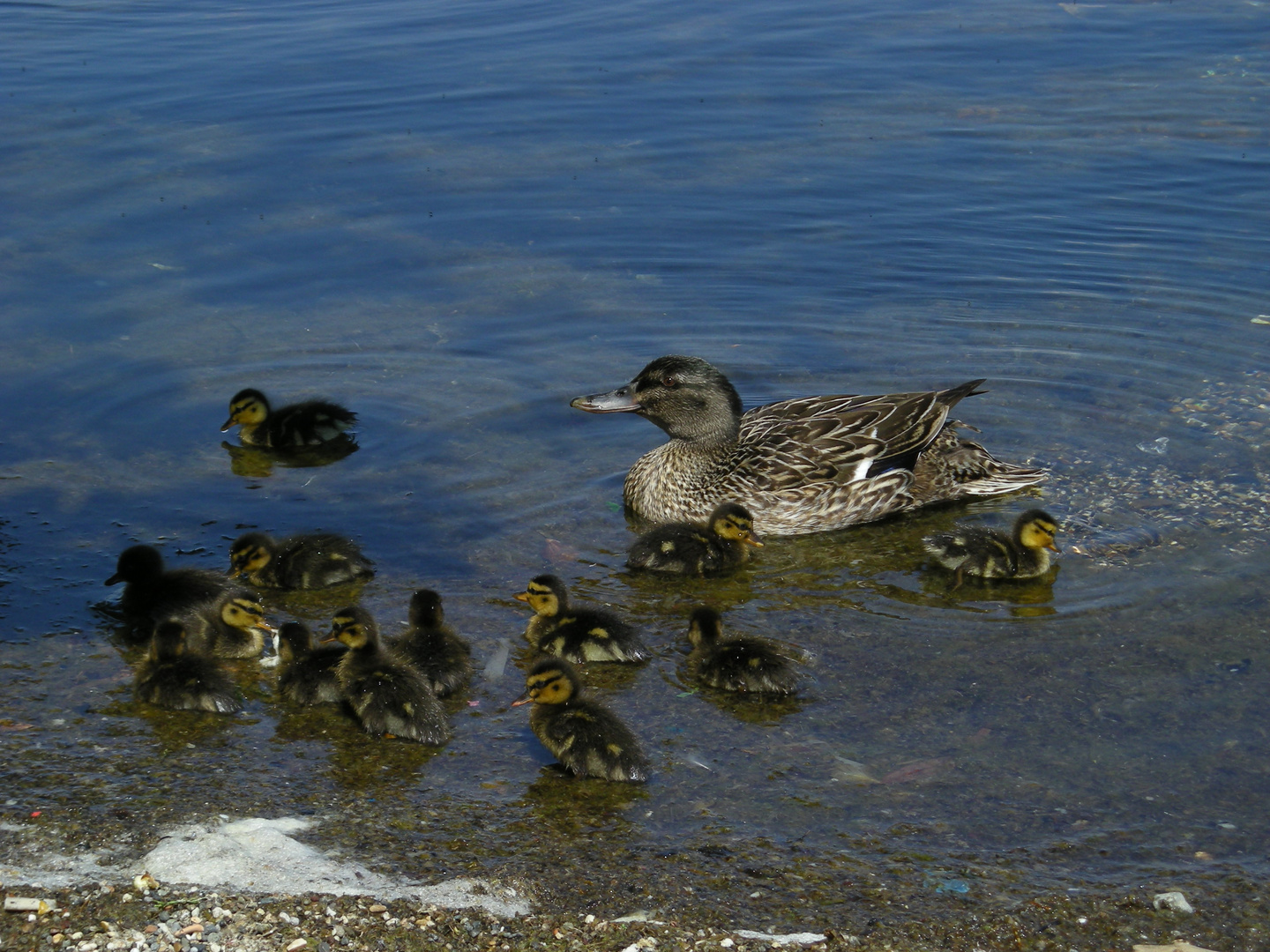 beautiful family