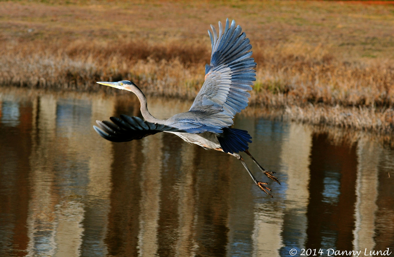 Beautiful Flight