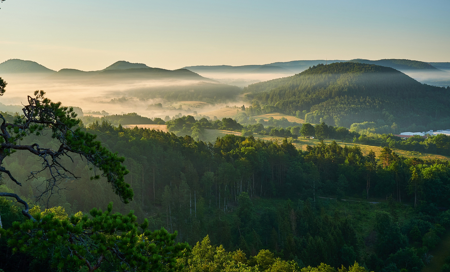 Beautiful foggy sunrise at Palatinate Forest 