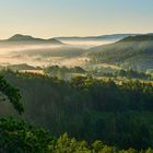 Beautiful foggy sunrise at Palatinate Forest 