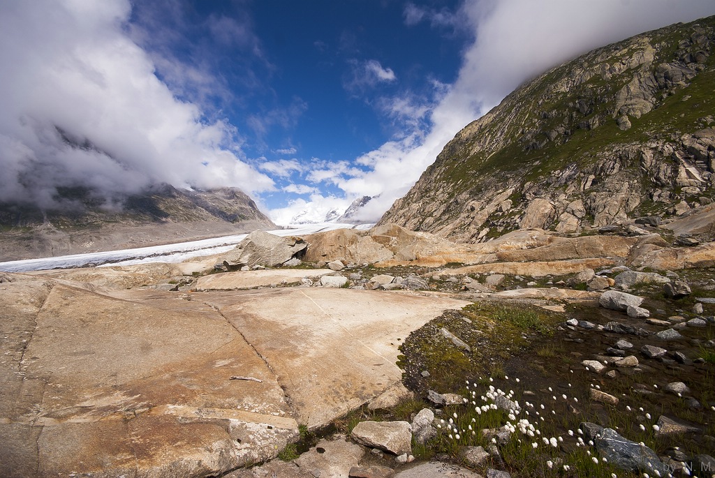 Beautiful Glacier