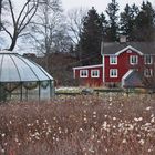 Beautiful houses in Skansen, Stockholm