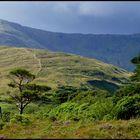 beautiful ireland