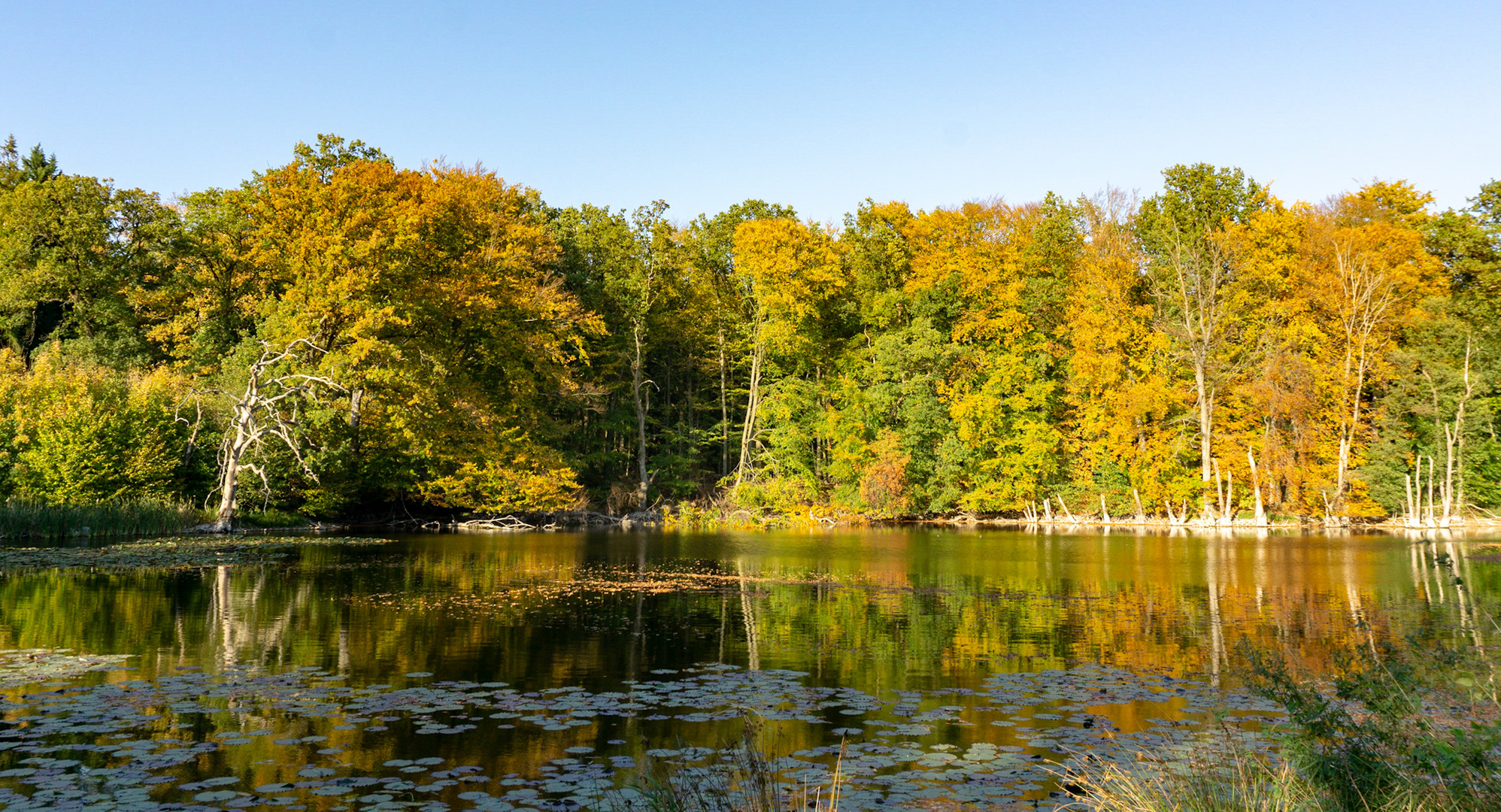 Beautiful Lake