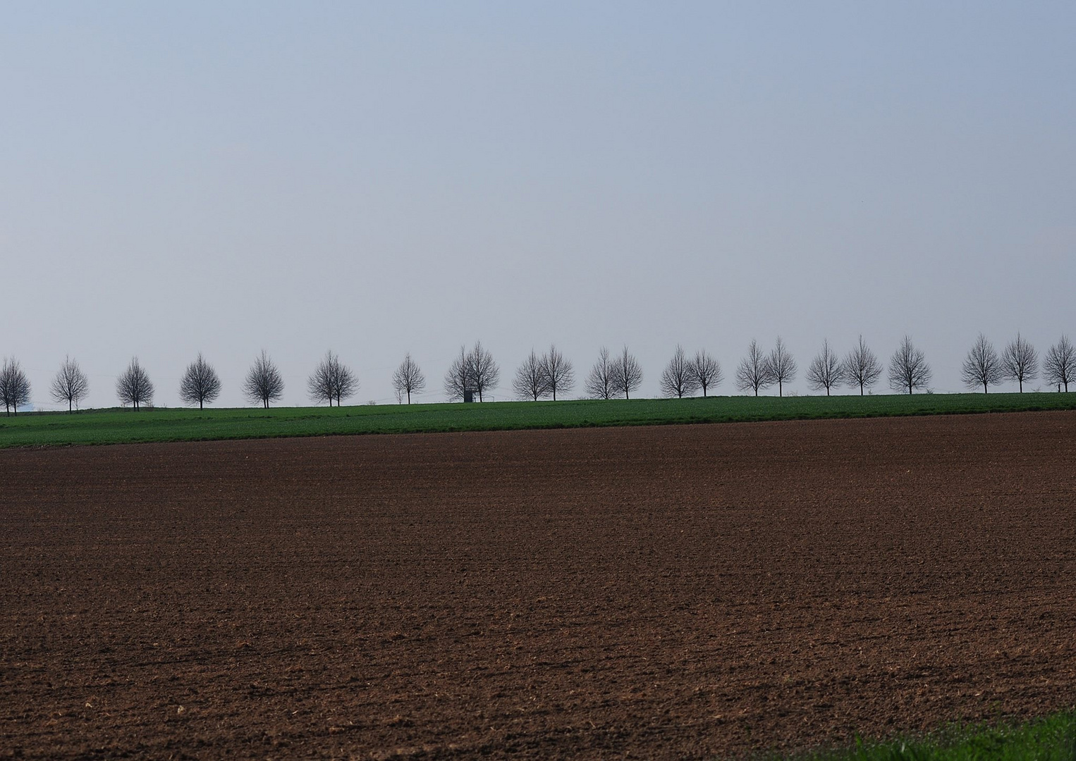 Beautiful landscape near Frankfurt am Main- Germany 