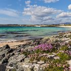 Beautiful Mannin Bay