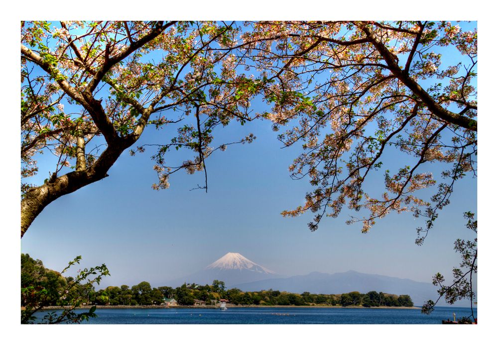 Beautiful my country Japan