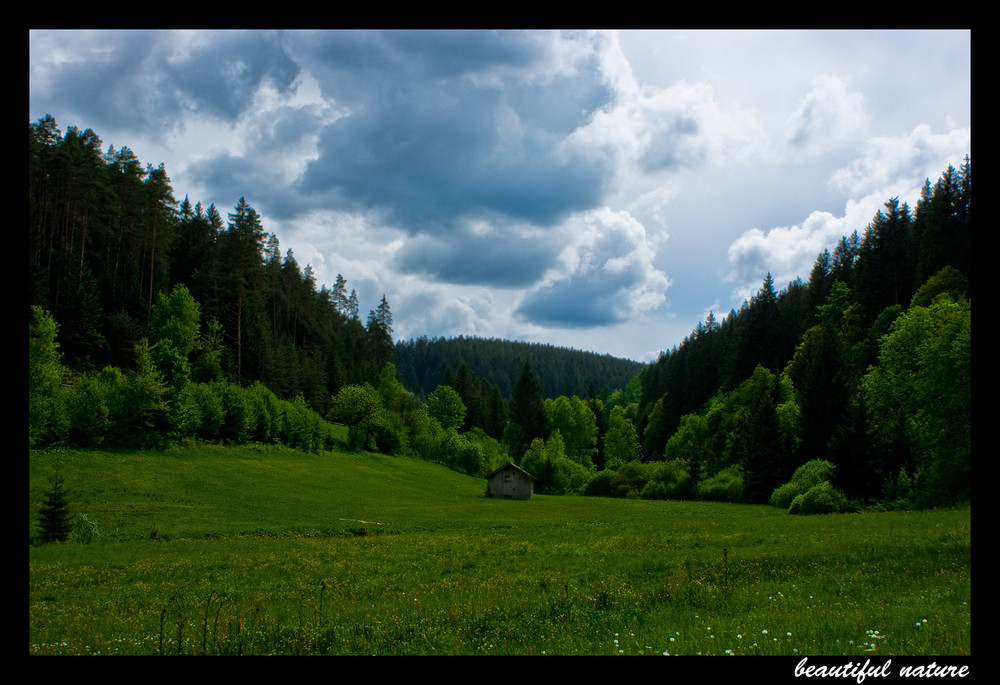 beautiful nature (re-up)