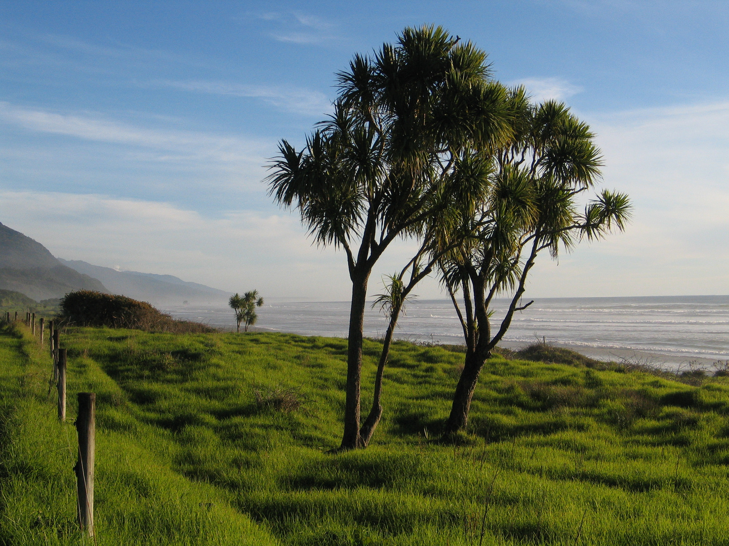 Beautiful New Zealand West Coast