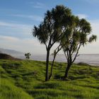 Beautiful New Zealand West Coast