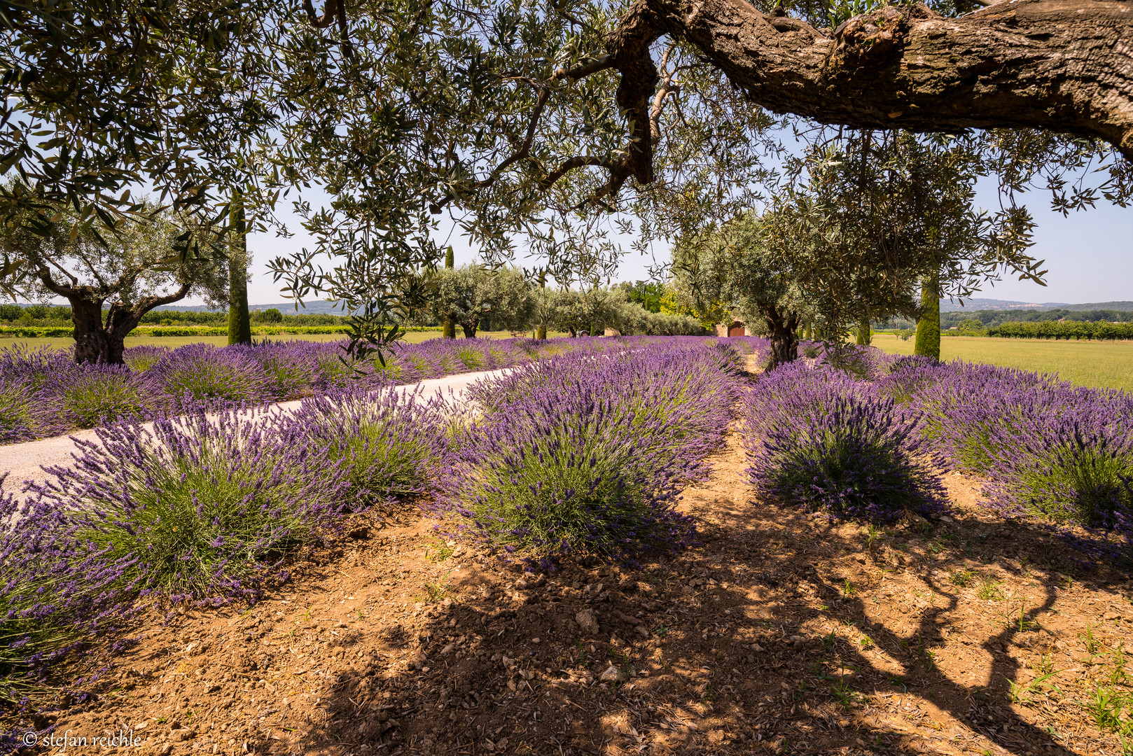 beautiful Provence