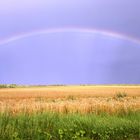 beautiful Rainbow