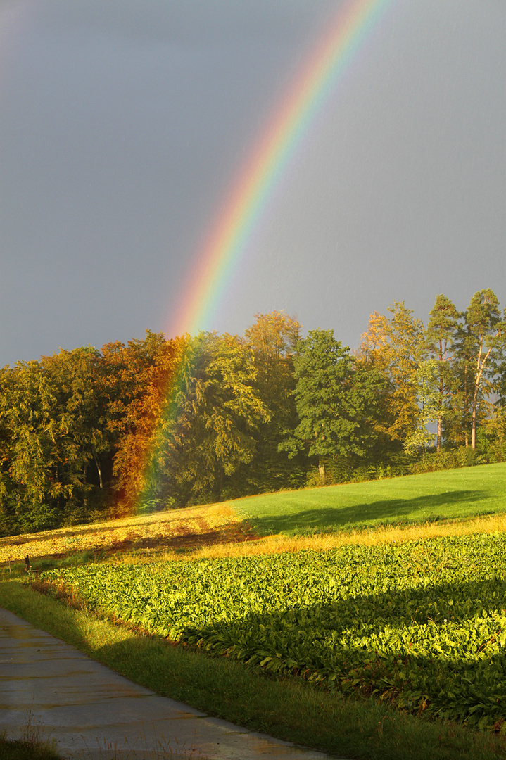 Beautiful Rainbow