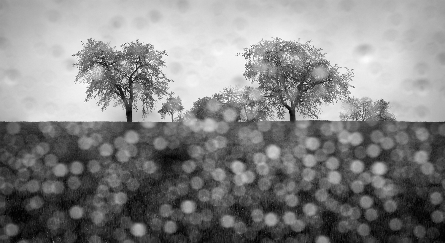 BEAUTIFUL RAINY DAY [04|BW]