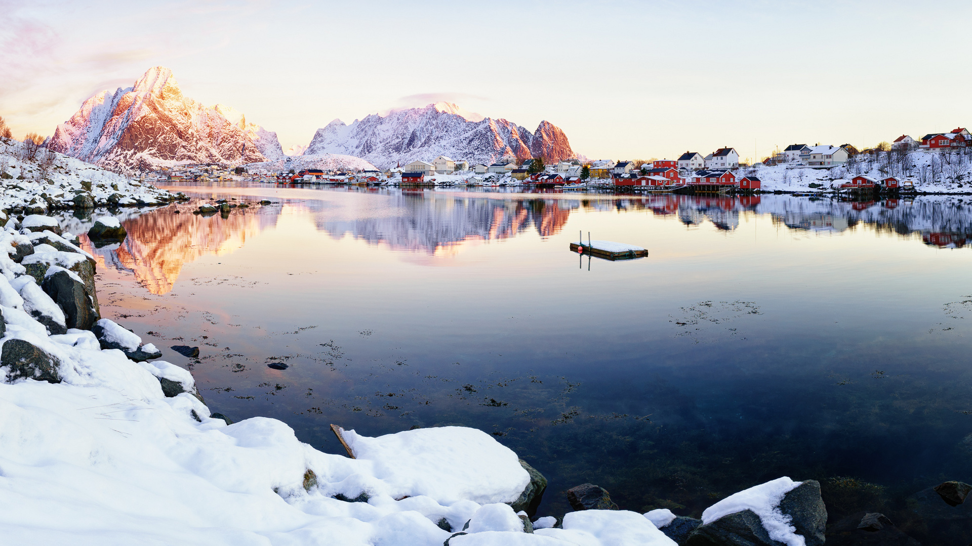 beautiful Reine