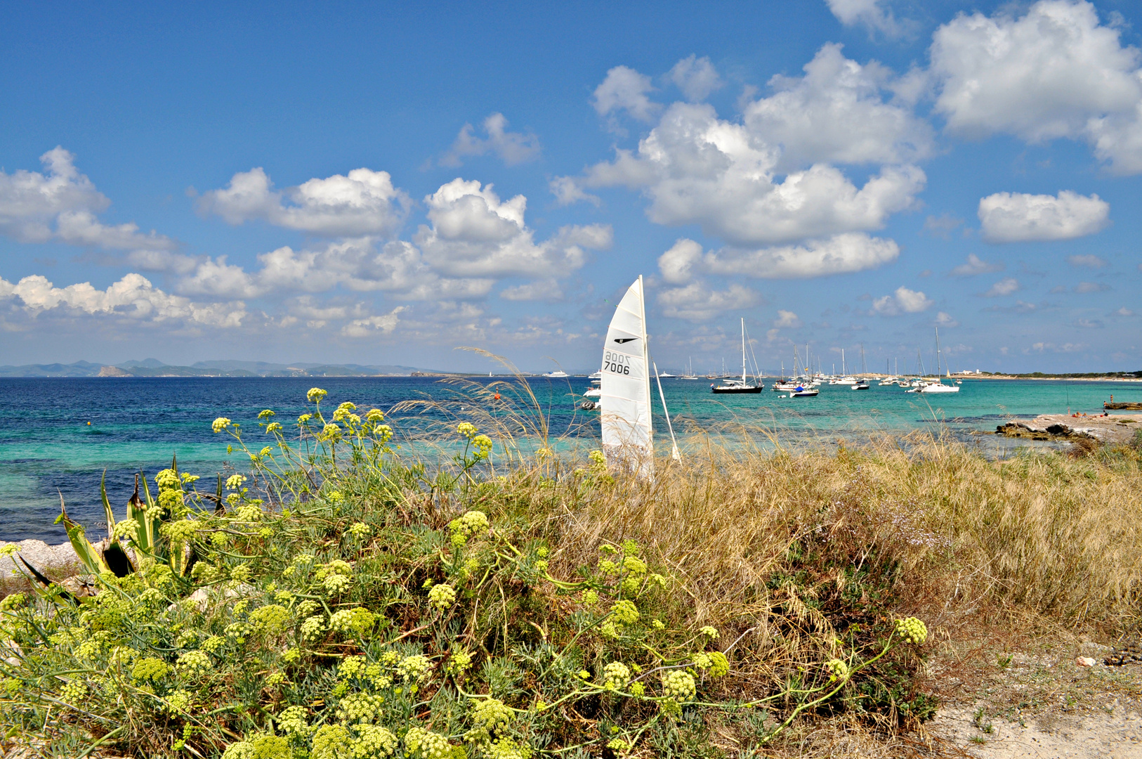 Beautiful side of Ibiza - Formentera