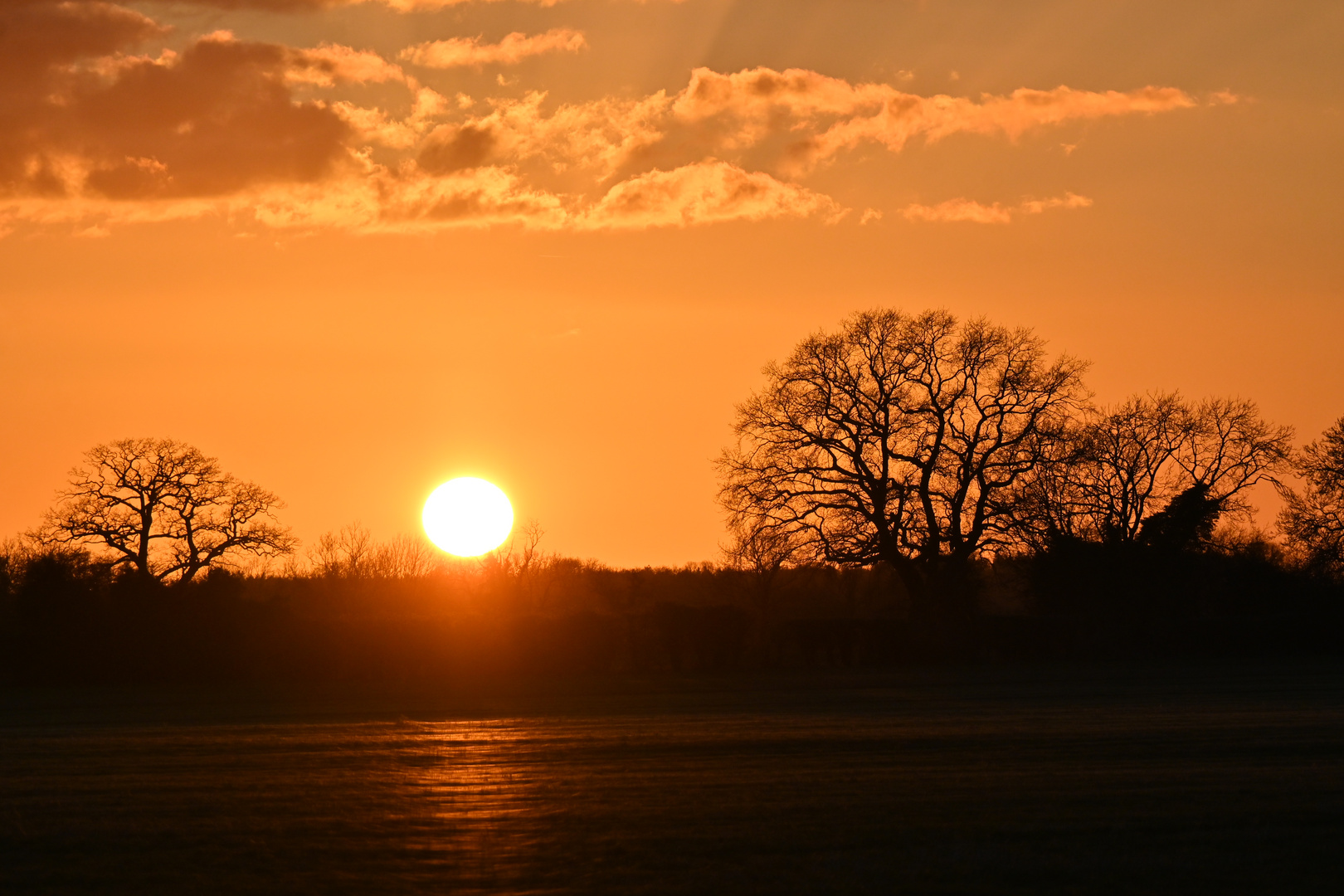 Beautiful sunset on Norfolk this evening 