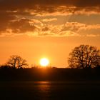 Beautiful sunset on Norfolk this evening 