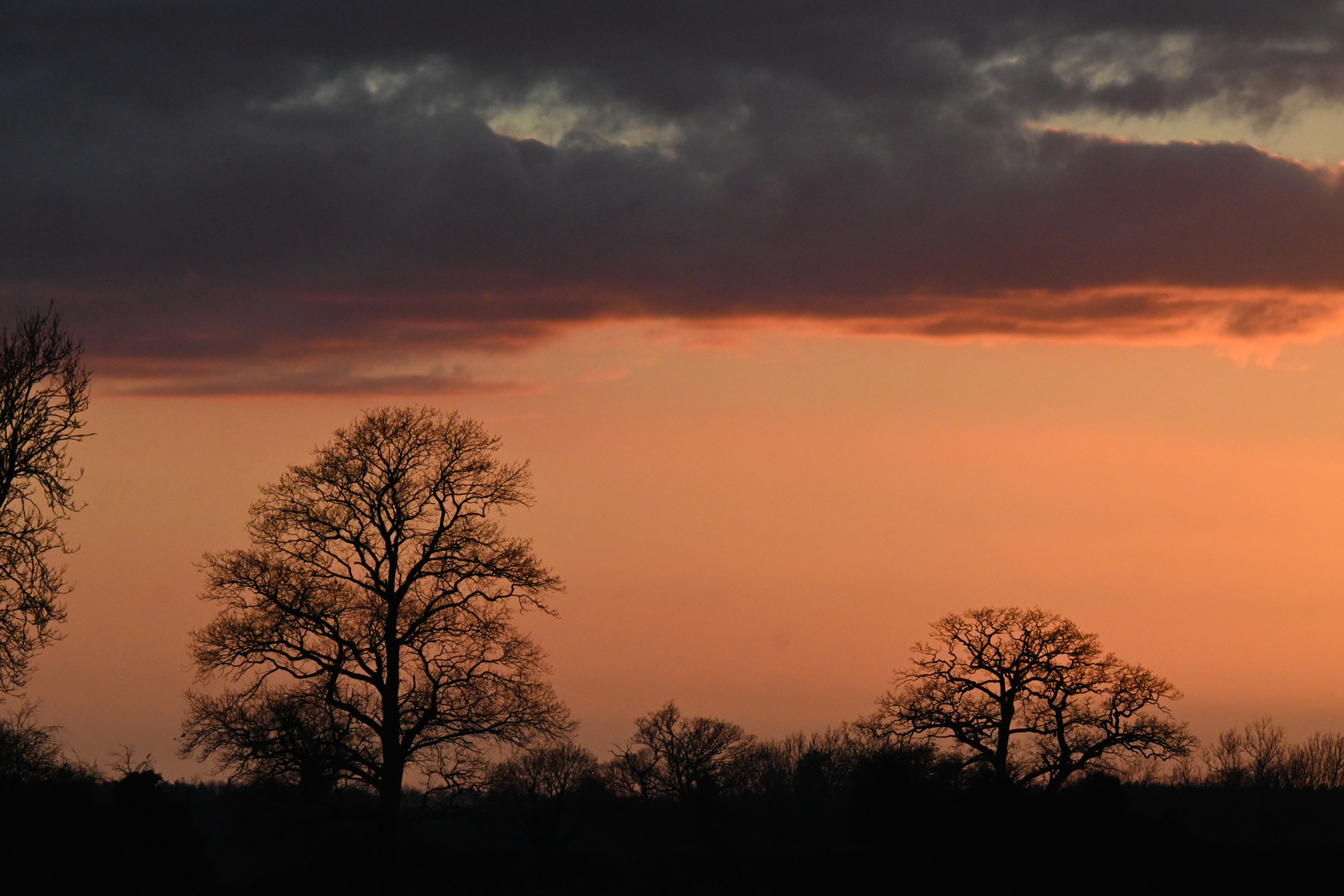Beautiful sunset on Norfolk this evening 
