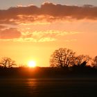Beautiful sunset on Norfolk this evening 