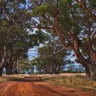 Beautiful Tasmania