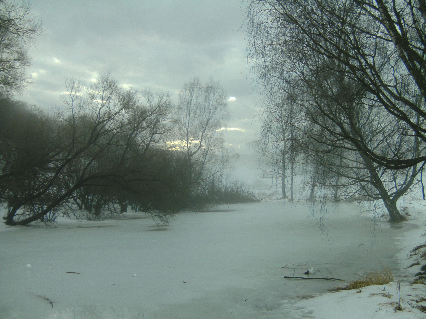 beautiful tristesse